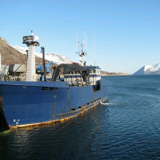 King Cove Docks Harbor or Marina