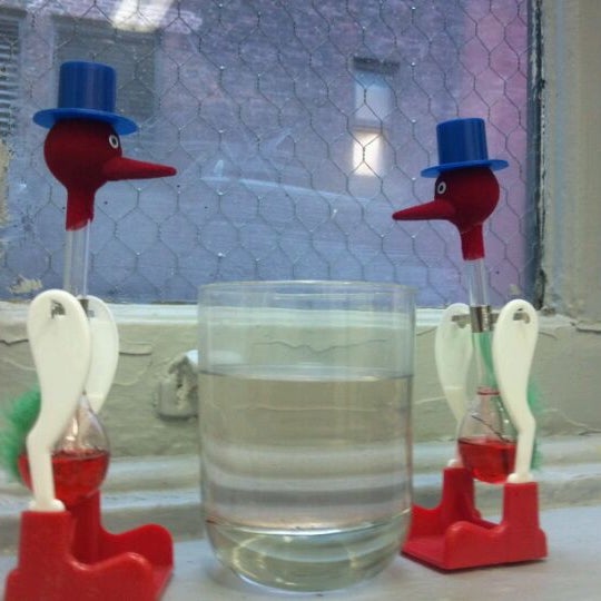 Water the birds.