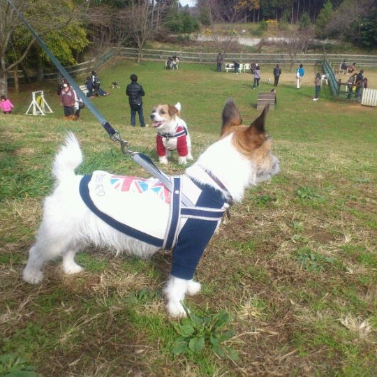 成田ゆめ牧場ドッグラン 名木730