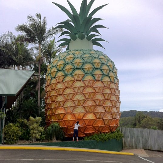 Big Pineapple 8 tips