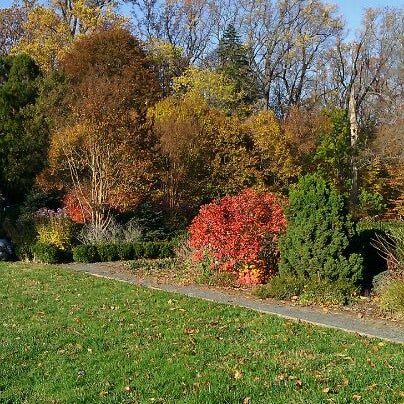 Foto scattata a Cylburn Arboretum da Benjamin B. il 11/12/2011