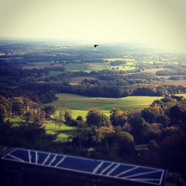 Leith Hill Tower Scenic Lookout