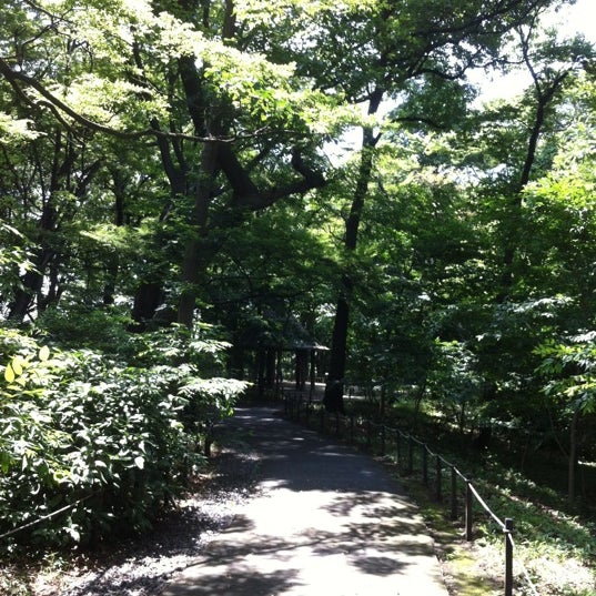 Photos At 三井の森公園 浜田山 東京 東京都 Photos At 三井の森公園 浜田山 東京 東京都
