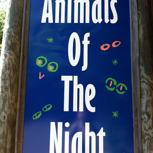 Memphis Zoo Creatures of the Night - Evergreen Historic District - 0 tips Memphis Zoo Creatures of the Night - Evergreen Historic District - 0 tips