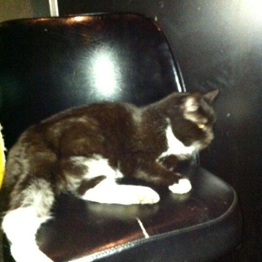 Photos at Slingshot Lounge Lounge in Portland