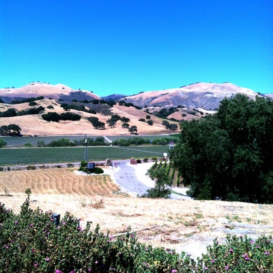 6/21/2012にLuis A.がZaca Mesa Winery &amp; Vineyardで撮った写真