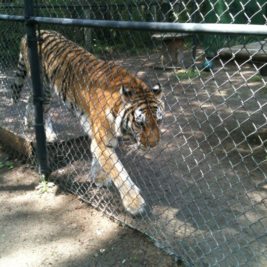 Foto scattata a Catty Shack Ranch Wildlife Sanctuary da Rick P. il 3/31/2012