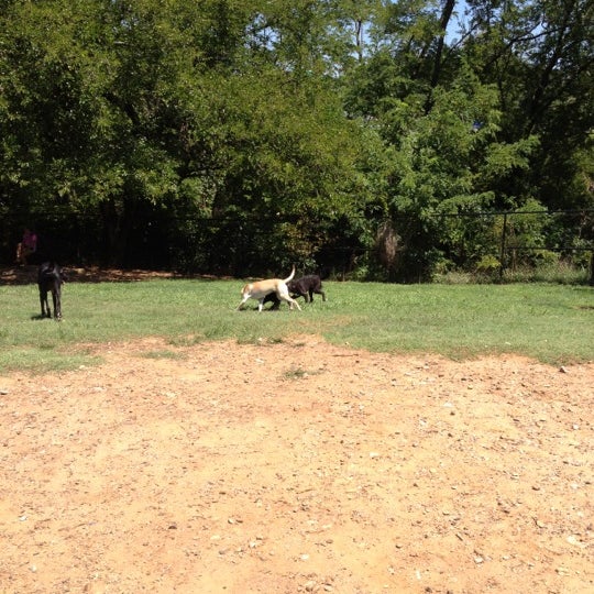 Photos at PetSafe Downtown Dog Park Dog Runs in Knoxville