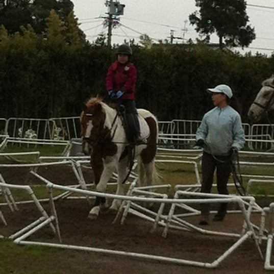 Has浜松乗馬クラブ