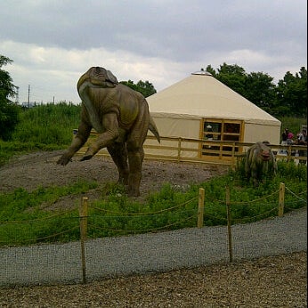 Foto tirada no(a) Field Station: Dinosaurs por Erica S. em 6/17/2012