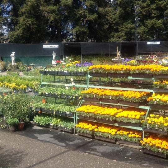 Photo taken at Central Wholesale Nursery by David P. on 3/18/2012