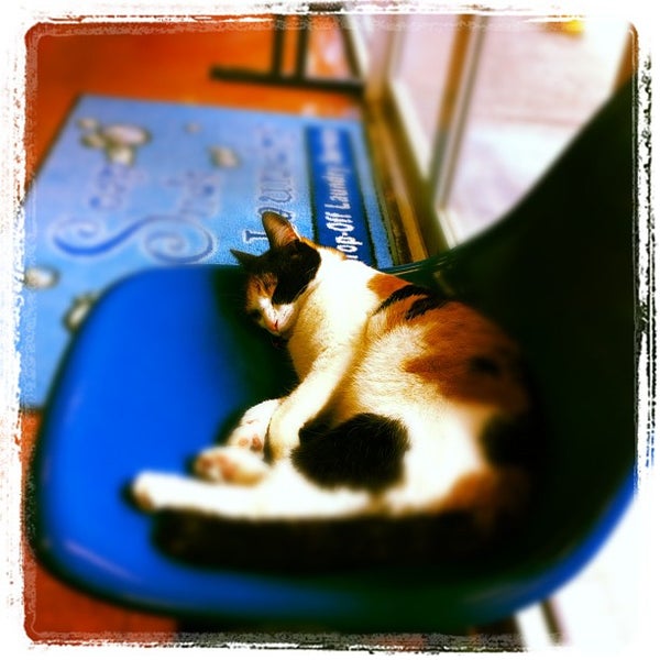 Photos at Soap Suds Coin Laundry 4211 N Main St