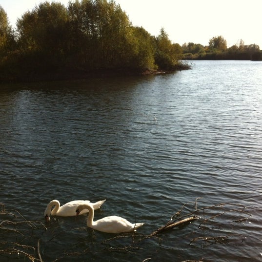 Radley Lakes Radley, Oxfordshire