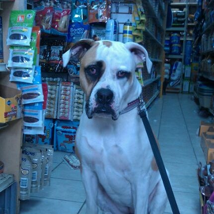 Abc pet supply sales