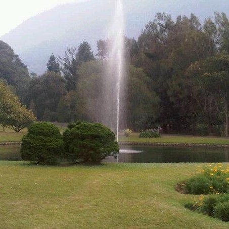 Kebun Raya Taman Wisata Cibodas Jardim Kebun Raya Taman Wisata Cibodas Jardim