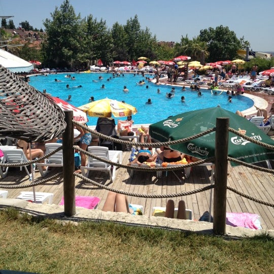 photos at aqua club dolphin water park in esenkent