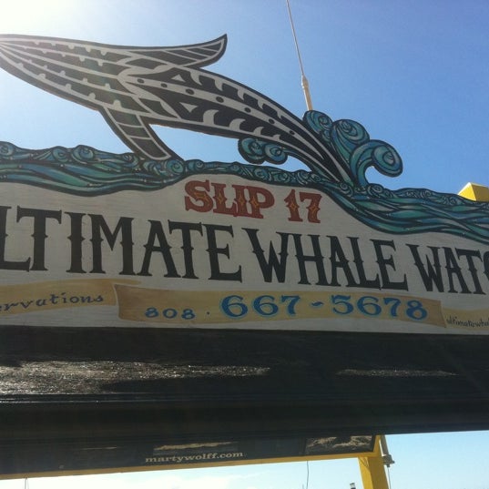 Снимок сделан в Ultimate Whale Watch пользователем Lori S. 3/13/2011