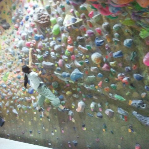 Rhino And Bird Climbing Gym In 荒川区 Rhino And Bird Climbing Gym In 荒川区