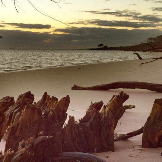 Little Talbot Island Driftwood Beach Trail in Jacksonville