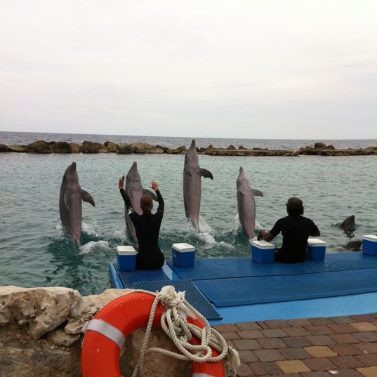 9/19/2011 tarihinde Paula ..ziyaretçi tarafından Dolphin Academy'de çekilen fotoğraf