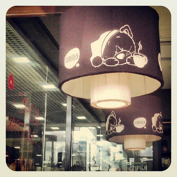 Сны любимого кота калуга