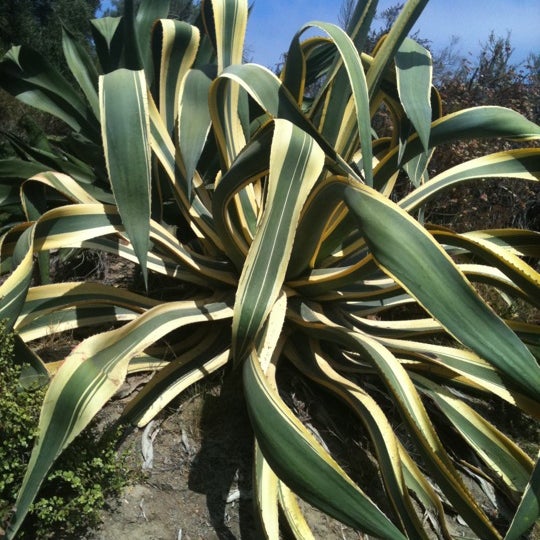 San Diego Botanic Garden - Encinitas, CA