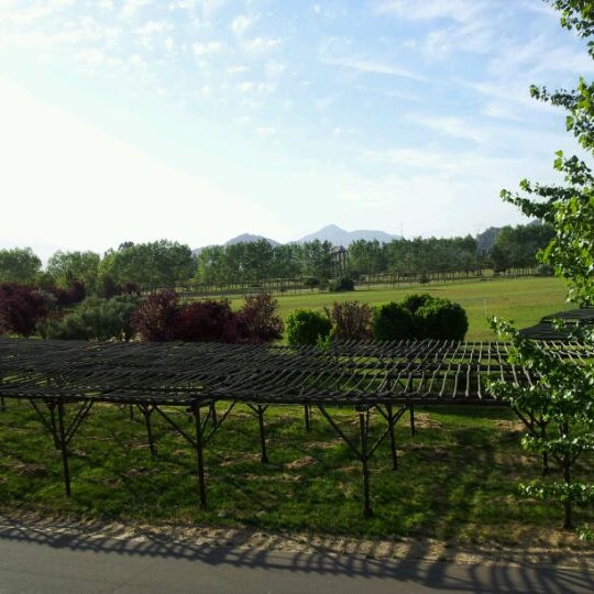 Hacienda Picarquin Camping en San Francisco de Mostazal