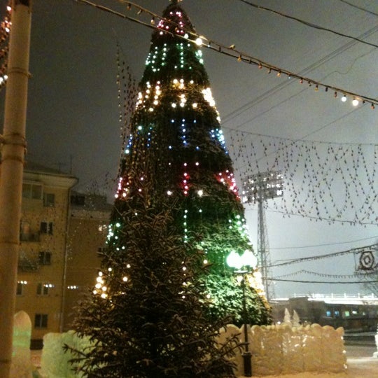 Елка на площади у дк первого мая красноярск. Елка маи. Засохшая елка даром. Елка маи. Елка маи.