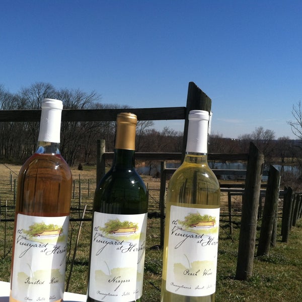 President Thomas Jefferson had his own vineyards and was described as "America's first distinguished viticulturist" and "the greatest patron of wine and wine growing that this country has yet had."