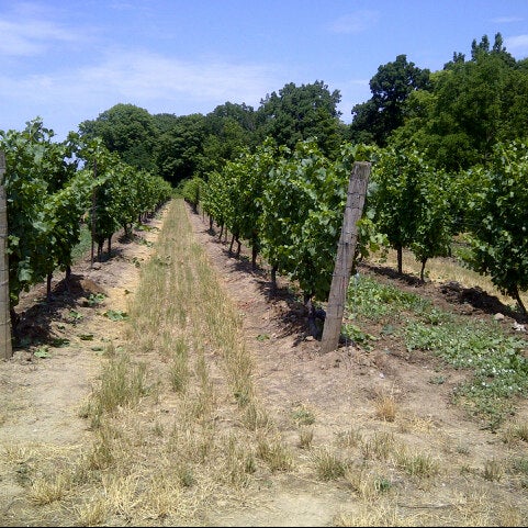 Foto tomada en Stoney Ridge Estate Winery  por Malcolm V. el 7/7/2012
