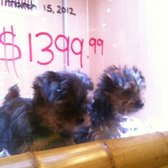 Safari Pet Centre (Now Closed) Pet Supplies Store in Vaughan