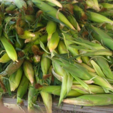 Das Foto wurde bei Smith Farm Market von Keydra S. am 8/4/2012 aufgenommen