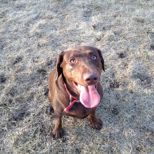 Woodbury Dog Park 11664 Dale Rd