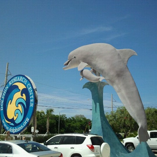 Photo taken at Dolphin Research Center by Guillaume N. on 6/9/2012