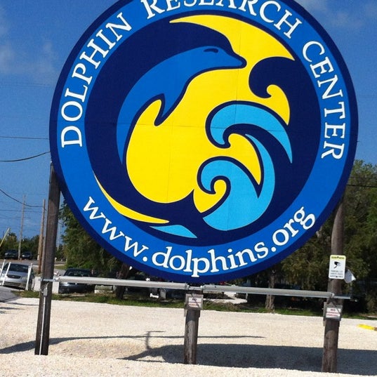 Photo taken at Dolphin Research Center by Bobby N. on 4/20/2012