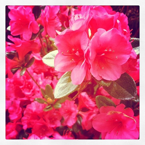 Photos at Lowe's Southeast Nashua Nashua, NH