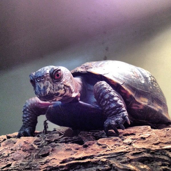 รูปภาพถ่ายที่ Tenafly Nature Center โดย AJ S. เมื่อ 8/26/2012