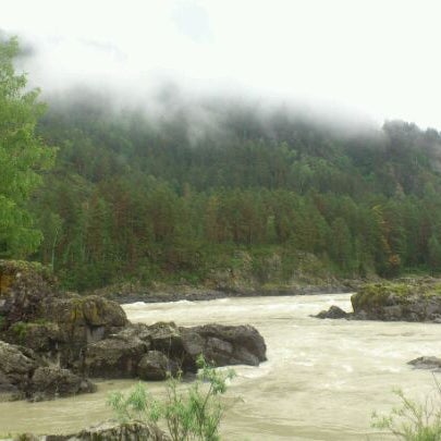 Шишкулар Алтай