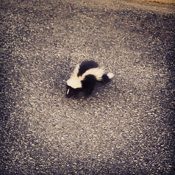 Public Storage Medford Ma 02155 Dandk Organizer