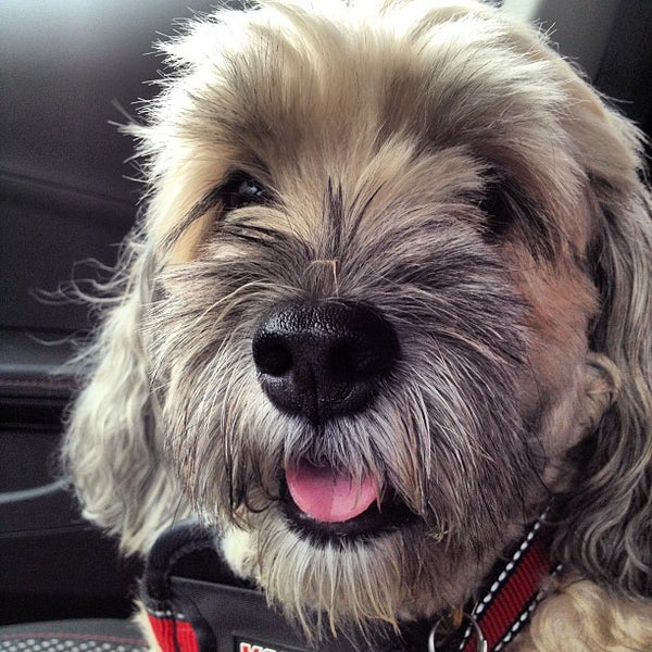 Photos at Foley's Shop n' Bag Hamilton, NJ