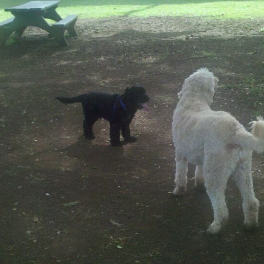 Moanalua Dog Park Moanalua 6 tips from 189 visitors