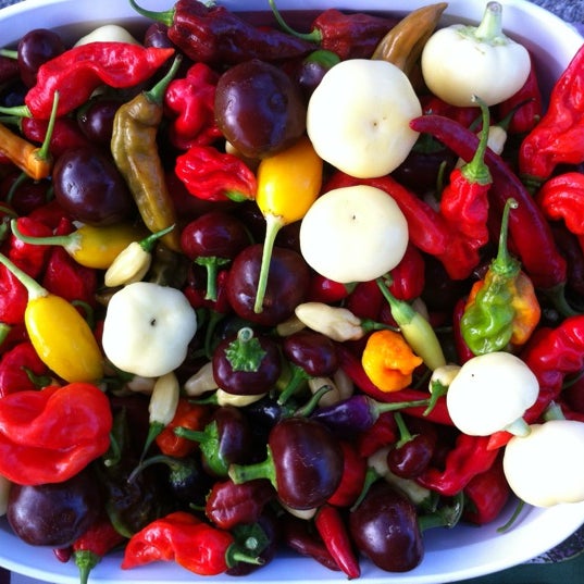 รูปภาพถ่ายที่ Broad Ripple Farmers Market โดย Sara C. เมื่อ 7/28/2012