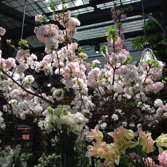 Photos At アトレ川崎 川崎区 川崎市 神奈川県