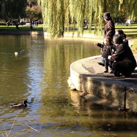 Fotos en Boston Public Garden - Jardín en Boston