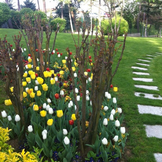 Eti Şirketler Grubu Küçük Çamlıca 1543 ziyaretçidan 3 tavsiye