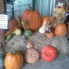 Photo taken at Norman Brothers Produce by Liz M. on 10/12/2011