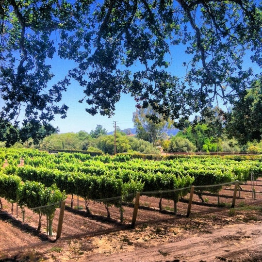 Photo taken at Lincourt Vineyards by Jenny P. on 7/30/2012