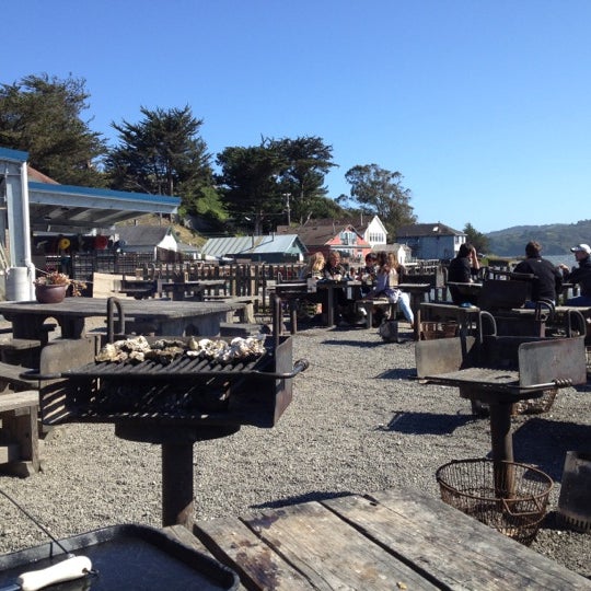 Hog Island Oyster Farm 46 tips from 1880 visitors