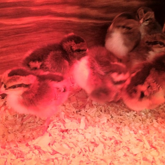 Big R Stores Outdoor Supply Store in Great Falls