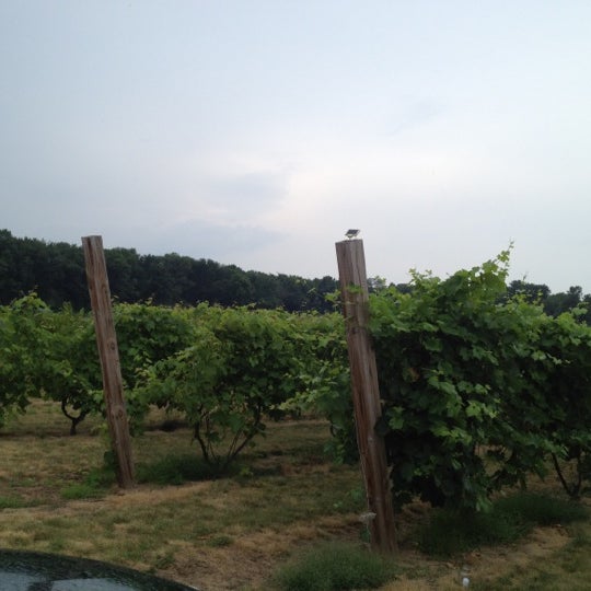 Foto diambil di Rosedale Farms &amp; Vineyards oleh Megan G. pada 7/15/2012